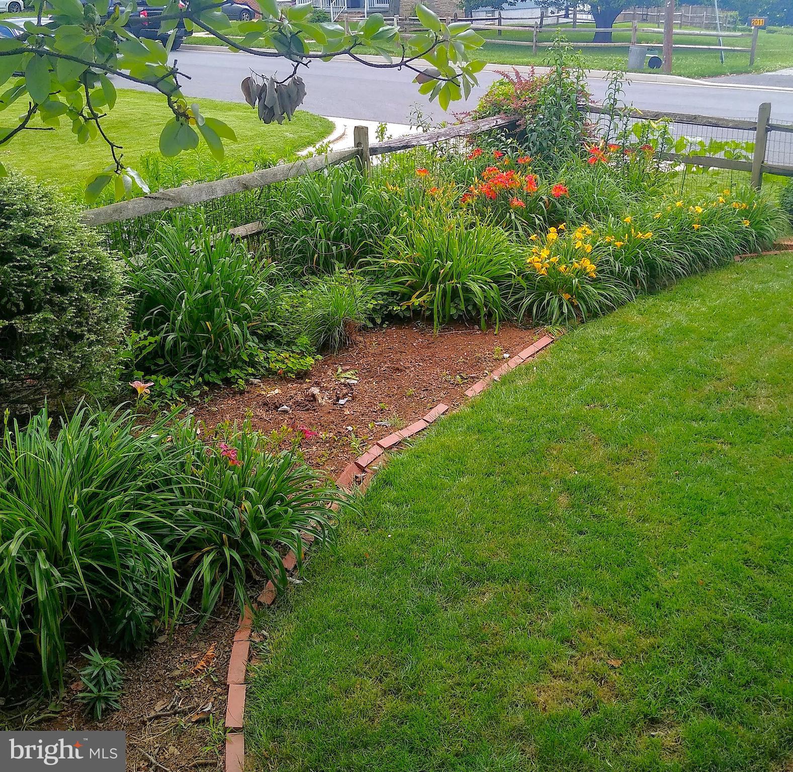 2008 Hillcrest Road Baltimore, MD 21207 - Photo 21 of 22 Front Garden in Bloom