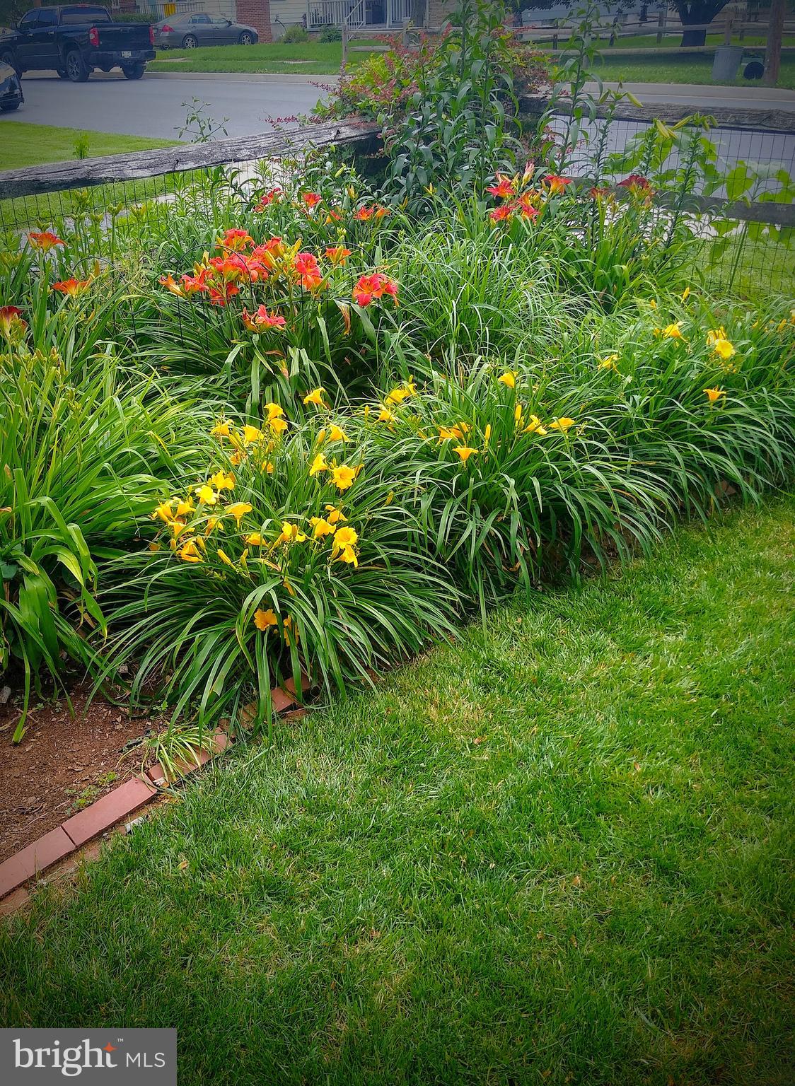 2008 Hillcrest Road Baltimore, MD 21207 - Photo 22 of 22 Front Garden