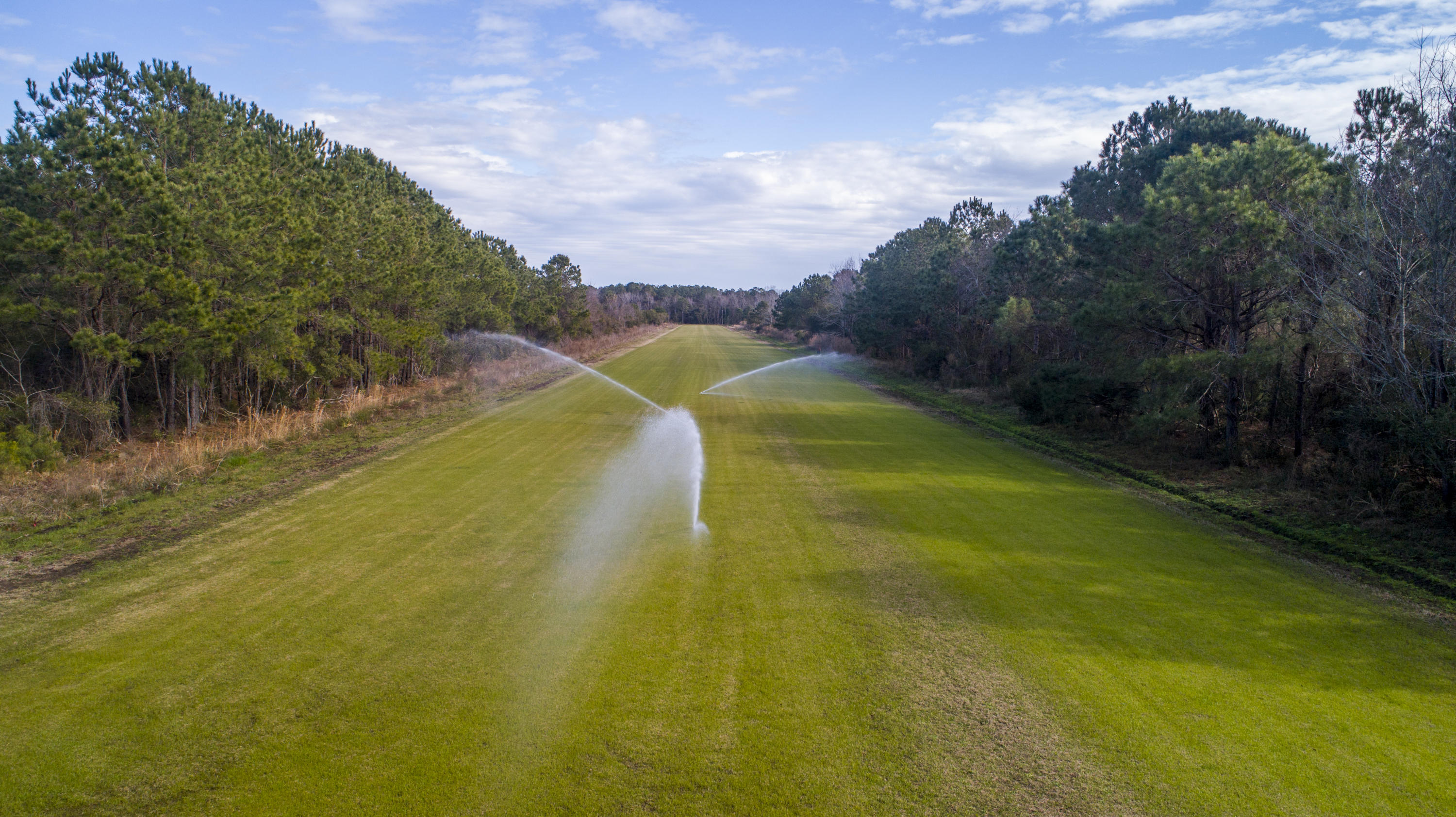 1007 Morants Point Road McClellanville, SC 29458 - Photo 14 of 26 Irrigation on LHF