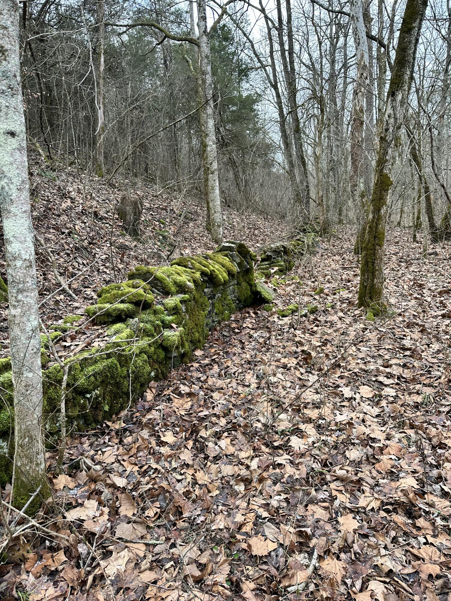 731 Trails End Road Lancaster, KY 40444 - Photo 22 of 47 IMG_3236