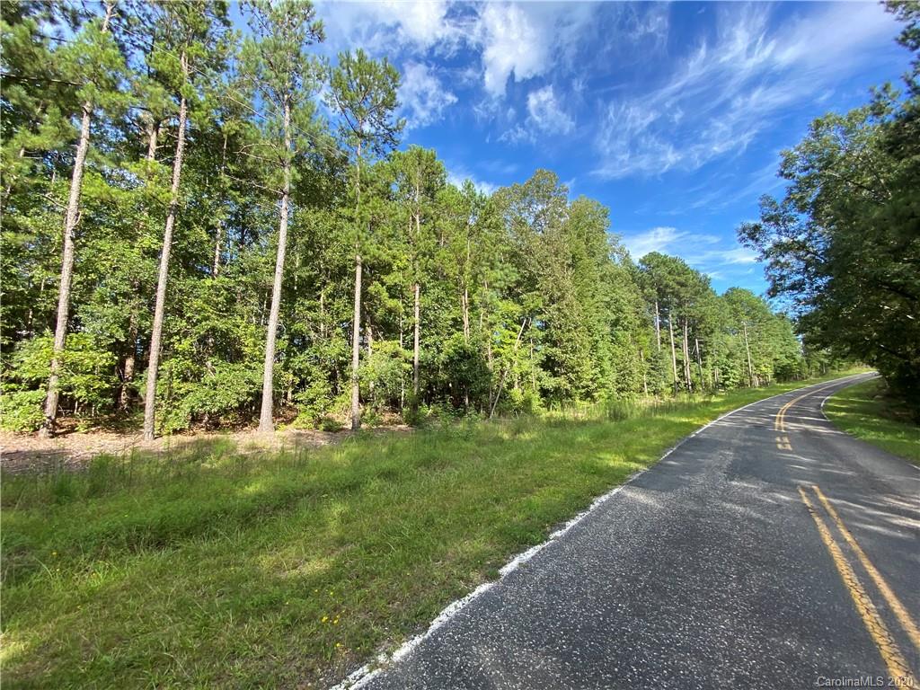 Lot 3 Slick Rock Road, Unit 3 Chester, SC 29706 - Photo 1 of 3
