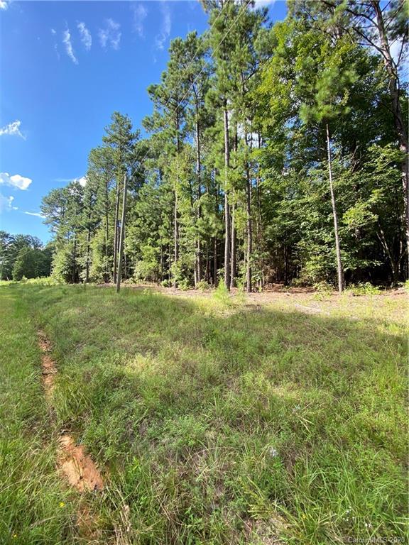 Lot 3 Slick Rock Road, Unit 3 Chester, SC 29706 - Photo 2 of 3
