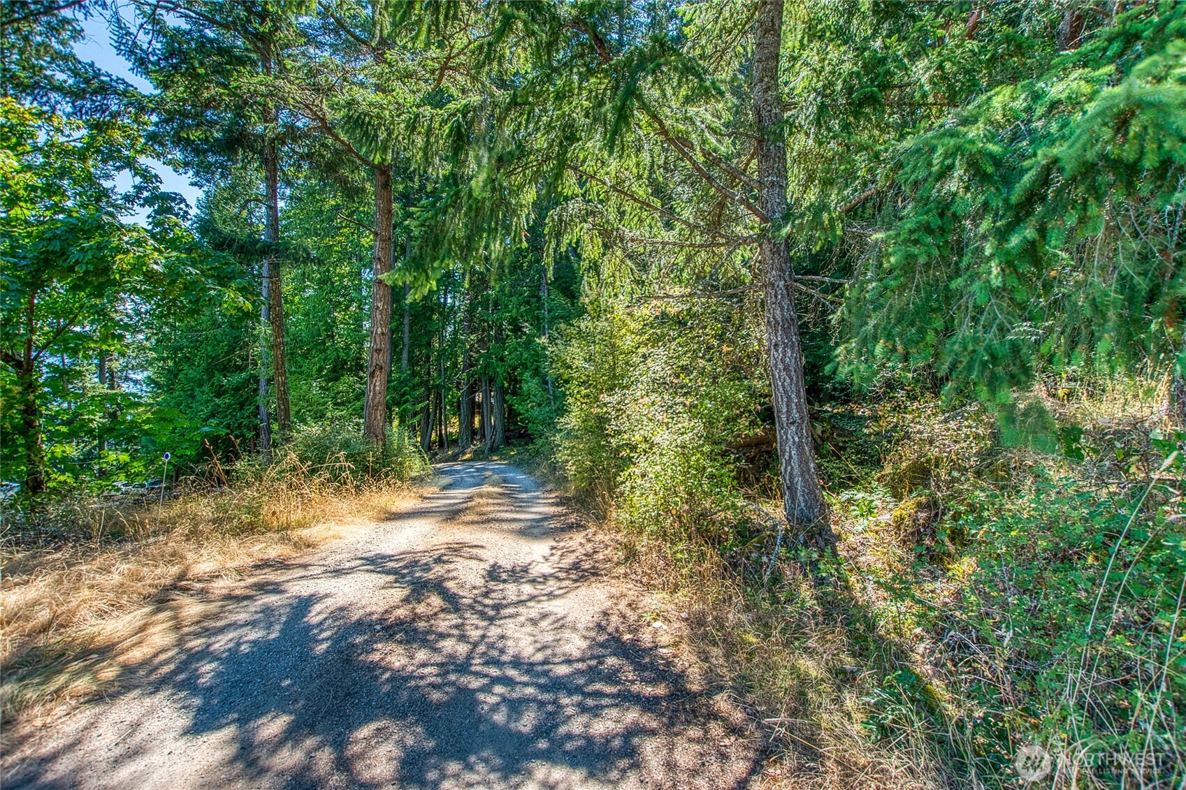 239 Killebrew Lake Road Orcas Island, WA 98280 - Photo 25 of 32 a view of a forest with trees
