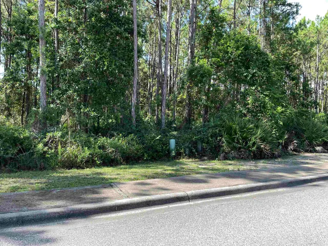 $59,000 | 118 White Pelican Way, Carrabelle, FL 32322