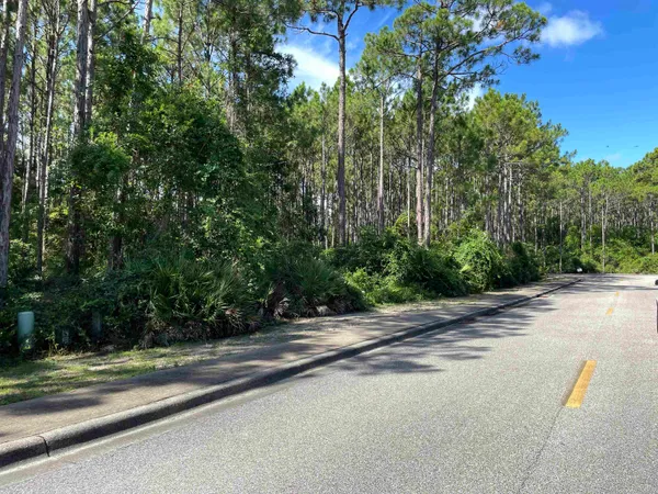 $59,000 | 118 White Pelican Way, Carrabelle, FL 32322