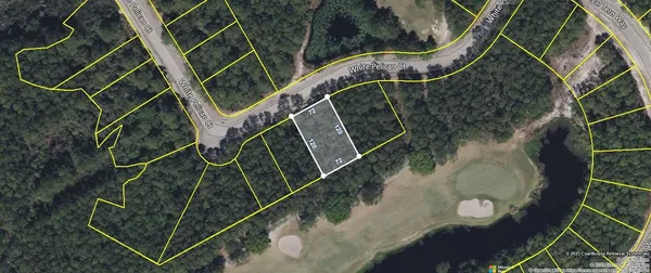 $59,000 | 118 White Pelican Way, Carrabelle, FL 32322