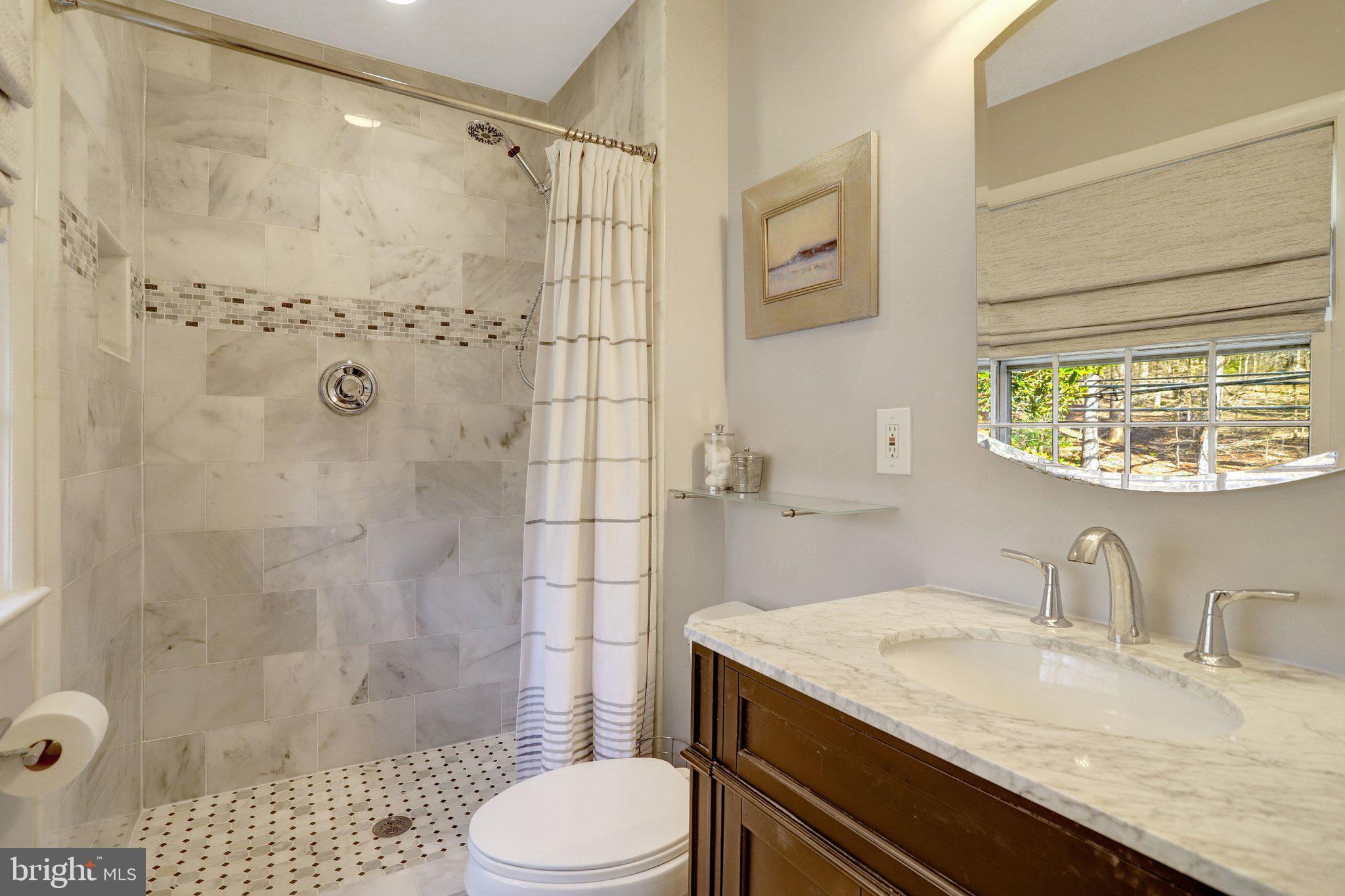 3657 Military Road Arlington, VA 22207 - Photo 28 of 63 Primary BR Bathroom