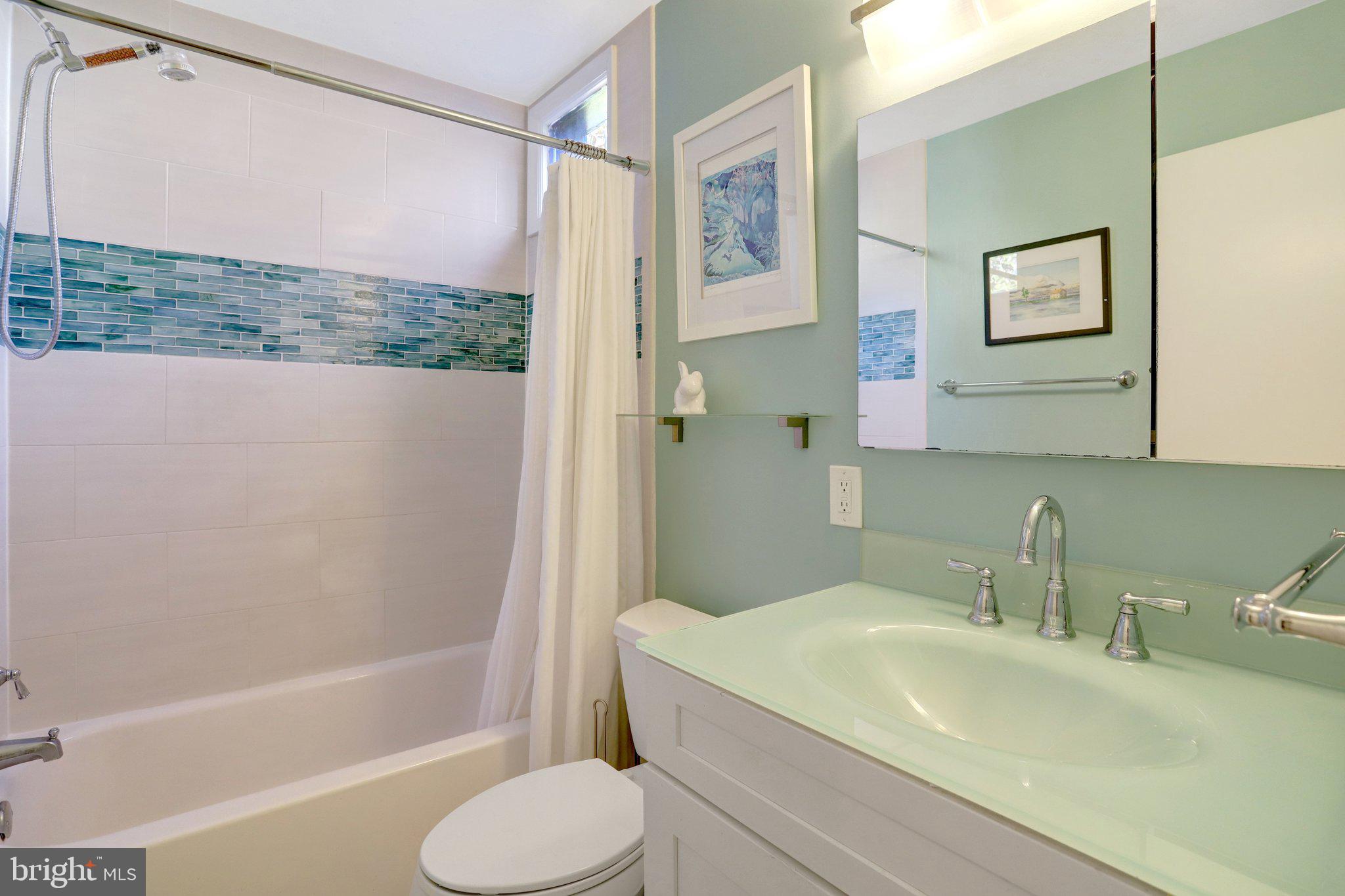 3657 Military Road Arlington, VA 22207 - Photo 37 of 63 Hall Bathroom