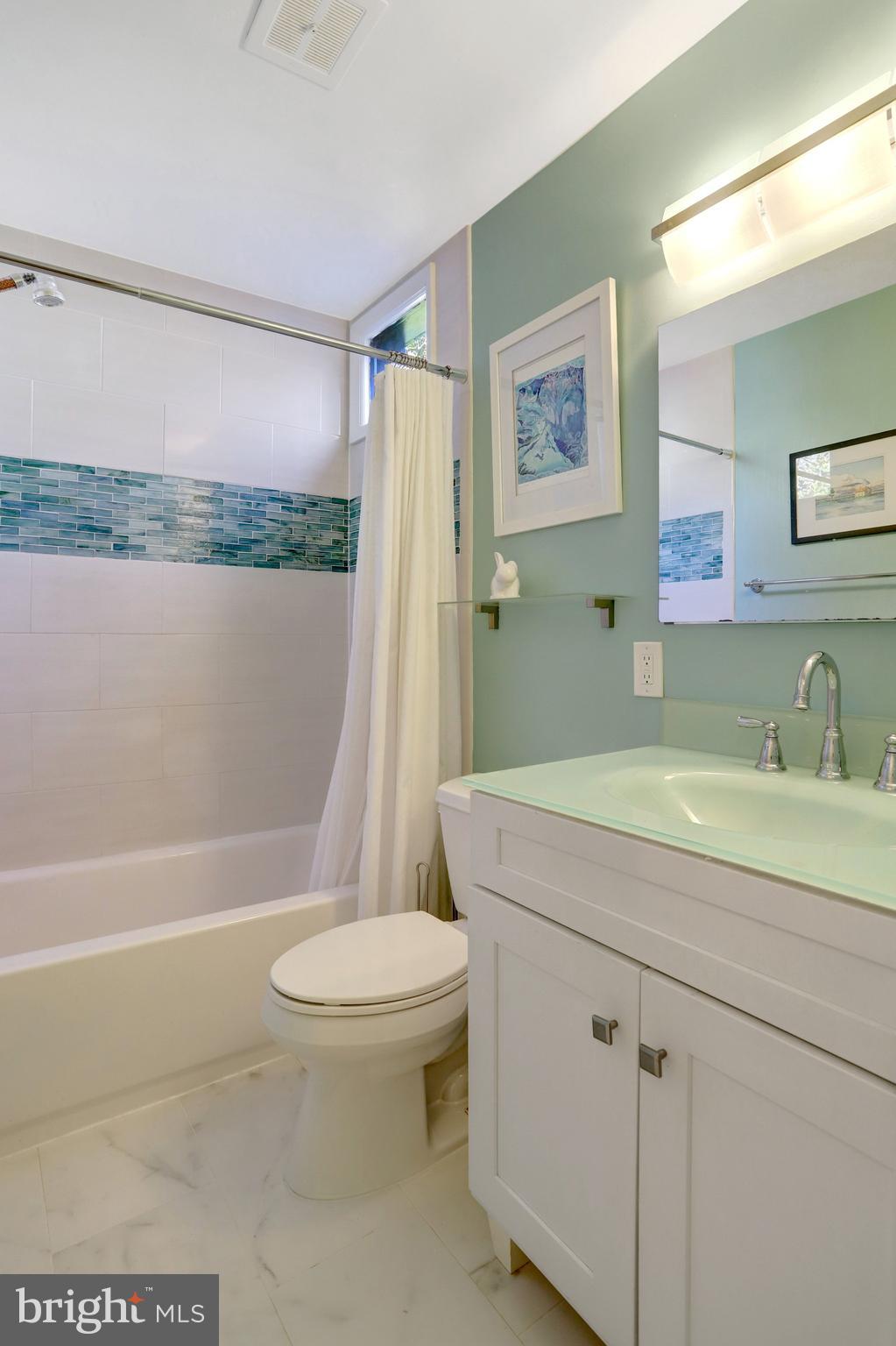 3657 Military Road Arlington, VA 22207 - Photo 39 of 63 Hall Bathroom