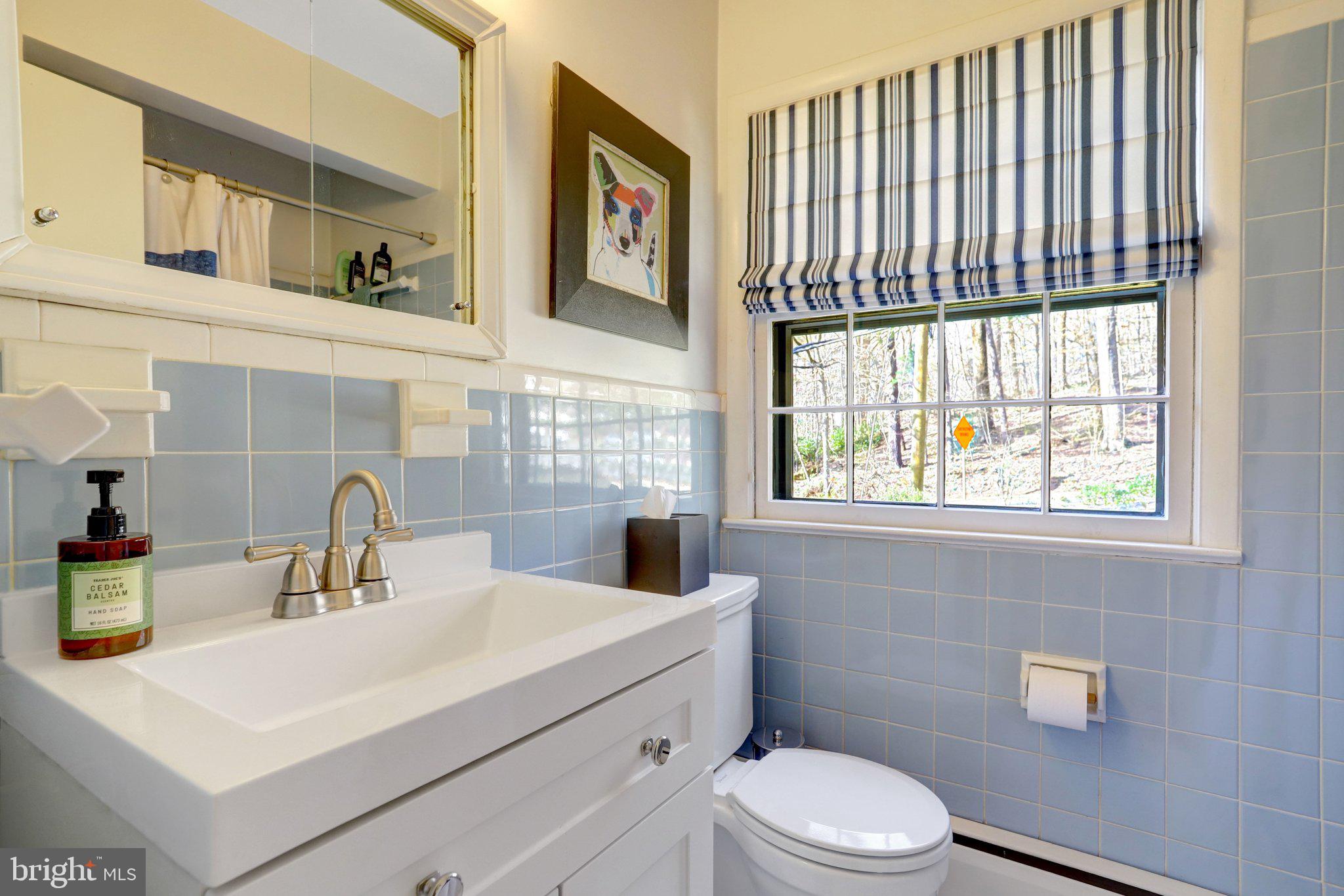 3657 Military Road Arlington, VA 22207 - Photo 41 of 63 Third Bathroom