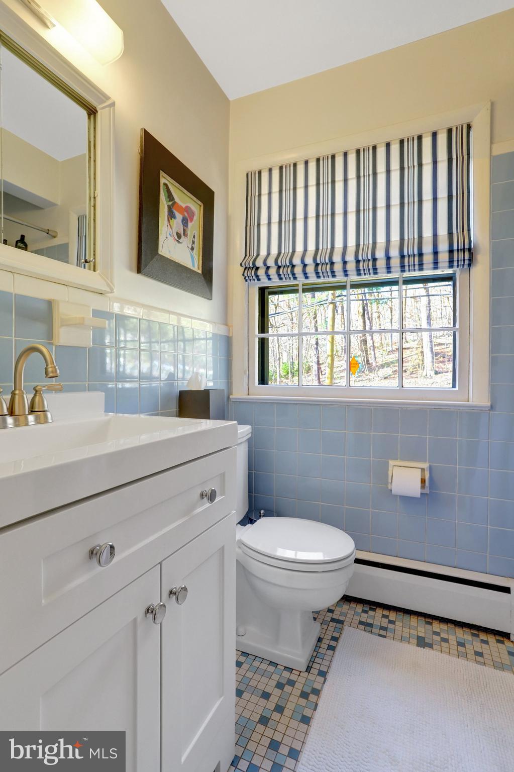 3657 Military Road Arlington, VA 22207 - Photo 42 of 63 Third Bathroom