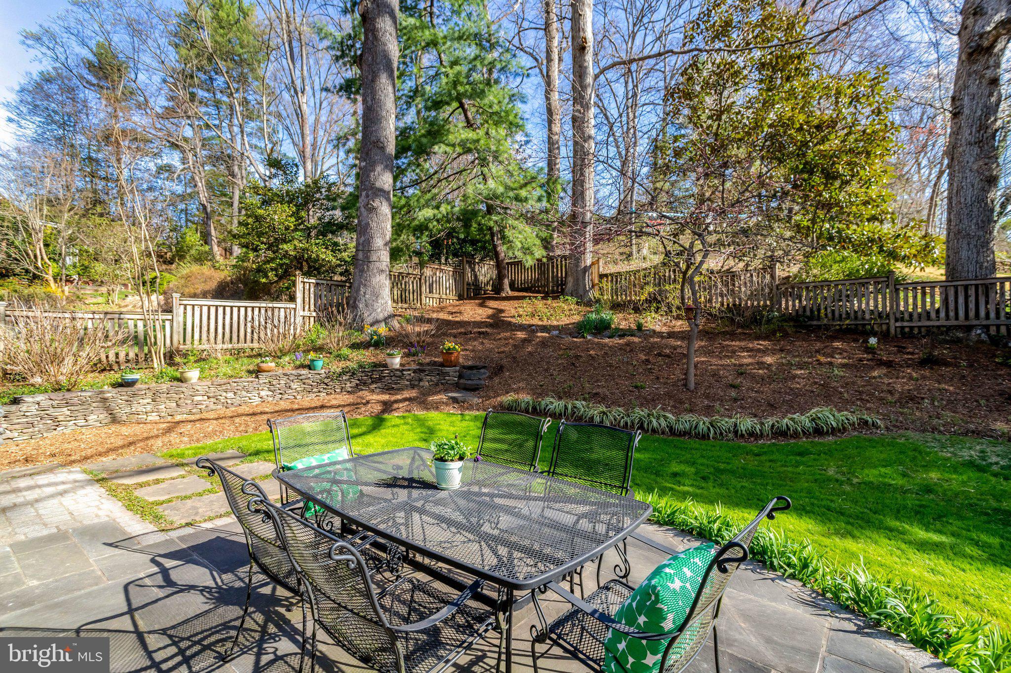 3657 Military Road Arlington, VA 22207 - Photo 57 of 63 Patio