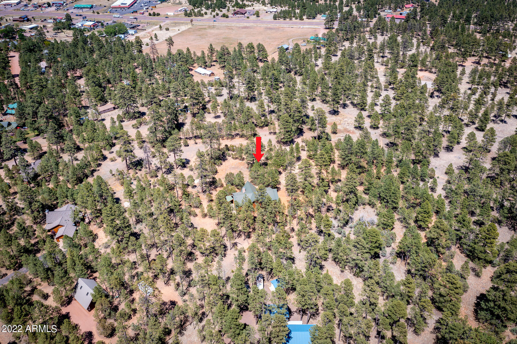 2790 Pine Rim Road Overgaard, AZ 85933 - Photo 35 of 45 Image_35
