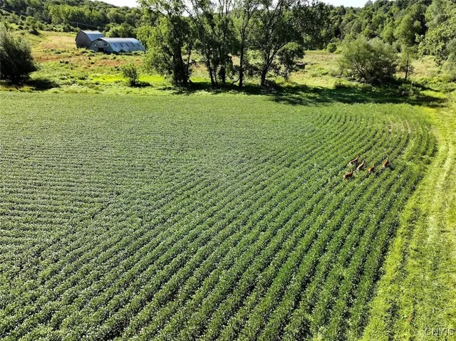 $449,900 | 6558 Thomas Corners Road, Ashford, NY 14171