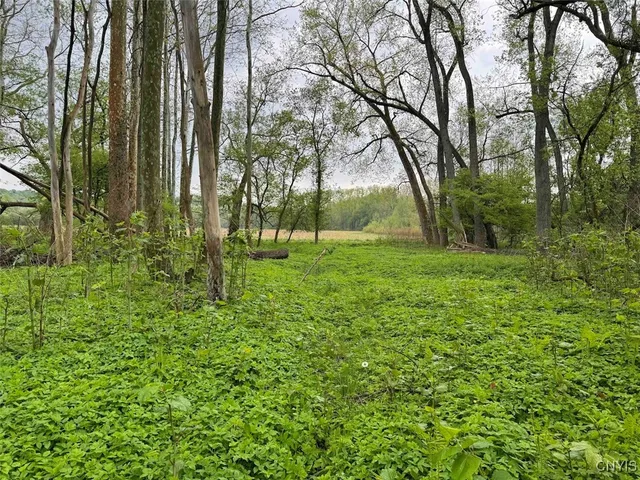 $449,900 | 6558 Thomas Corners Road, Ashford, NY 14171