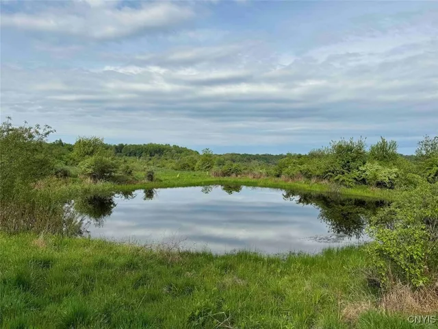 $449,900 | 6558 Thomas Corners Road, Ashford, NY 14171