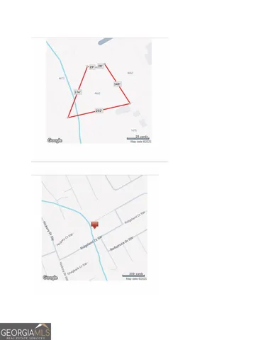 a view of a forest that has large trees