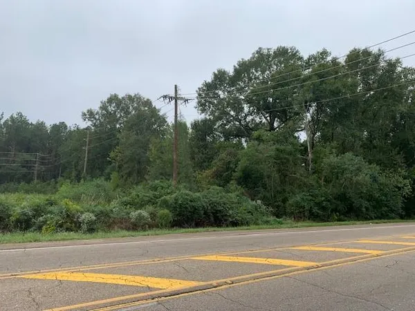 $287,500 | 0 Highway 190 Highway, Robert, LA 70455