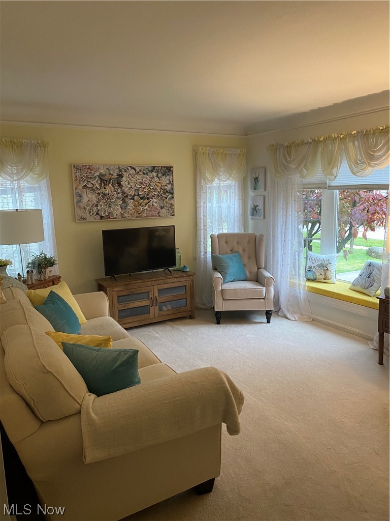 1181 Belrose Road Cleveland, OH 44124 - Photo 2 of 28 Gallery Image 2
