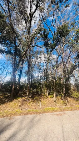 a view of a yard covered with snow on the roadside