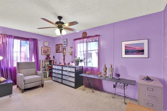 a living room with furniture and a ceiling fan