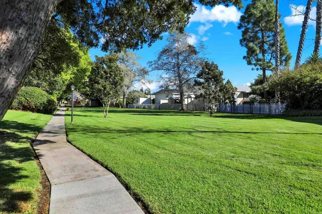 a view of a park with large trees