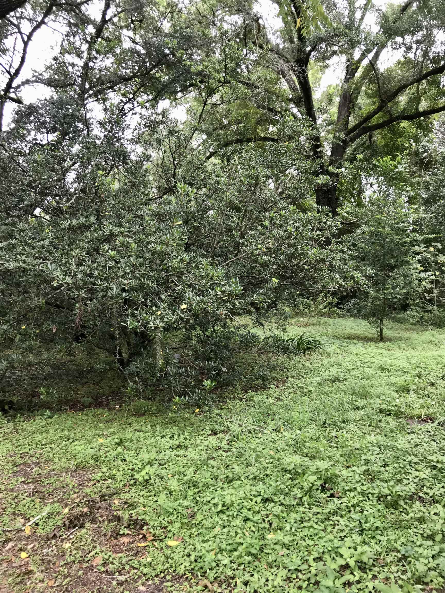 116 Ridge Road Tallahassee, FL 32305 - Photo 7 of 24