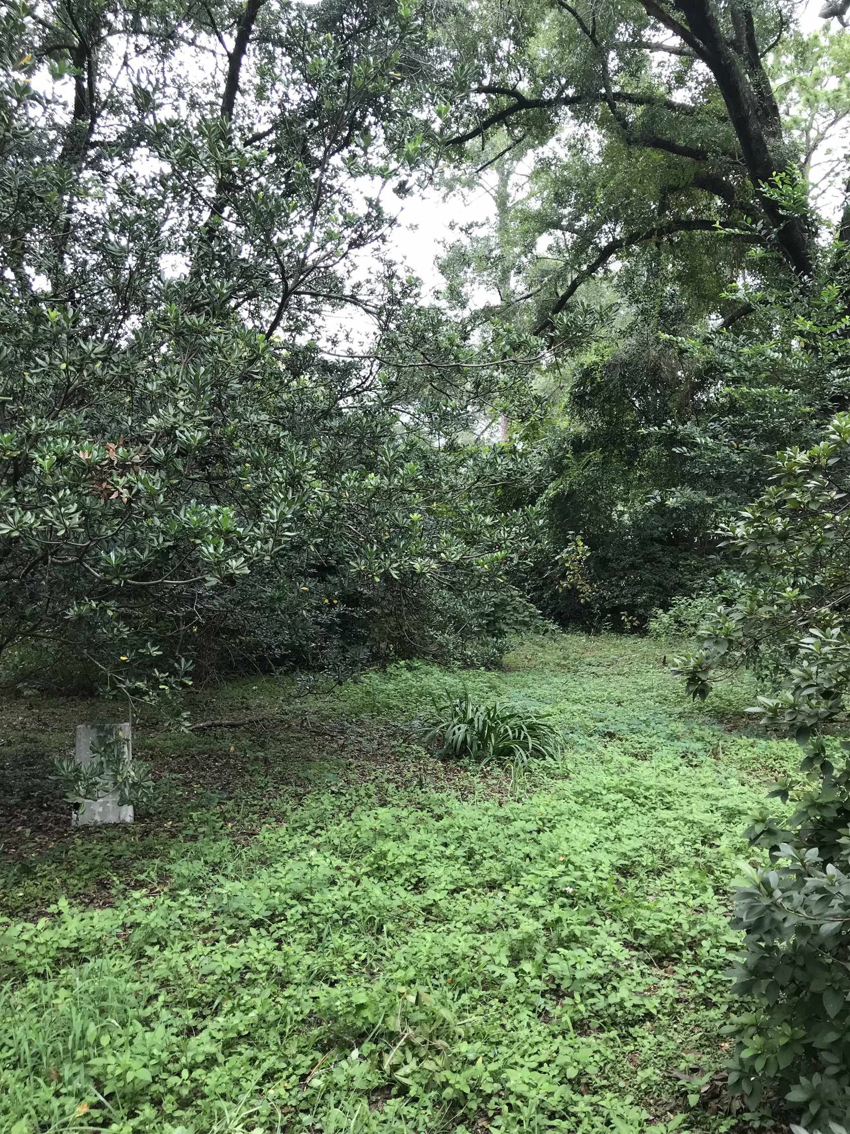 116 Ridge Road Tallahassee, FL 32305 - Photo 8 of 24