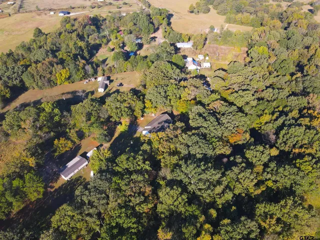 a picture of flowers