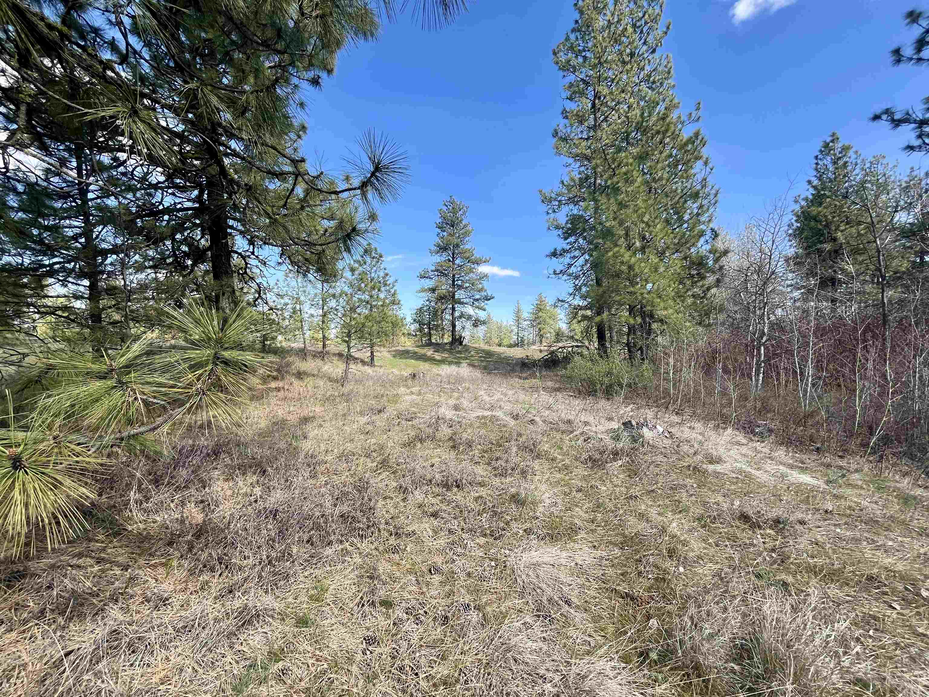 249015 West Kitt Road Reardan, WA 99029 - Photo 18 of 29 Gallery Image 18