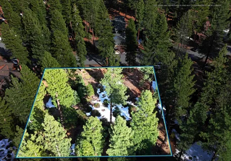 an aerial view of a yard