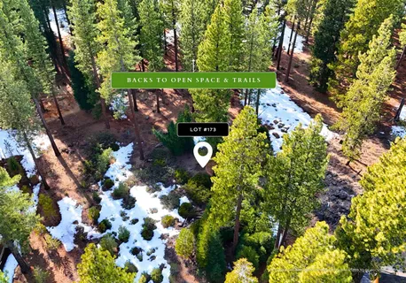 a picture of flowers