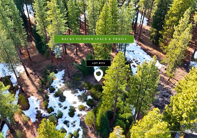 a picture of flowers