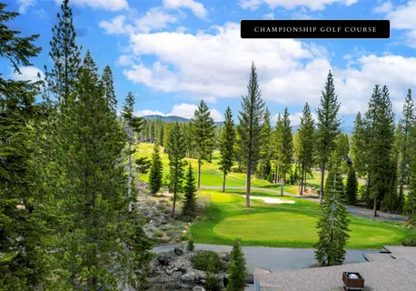 a view of a street with benches sitting below a tree