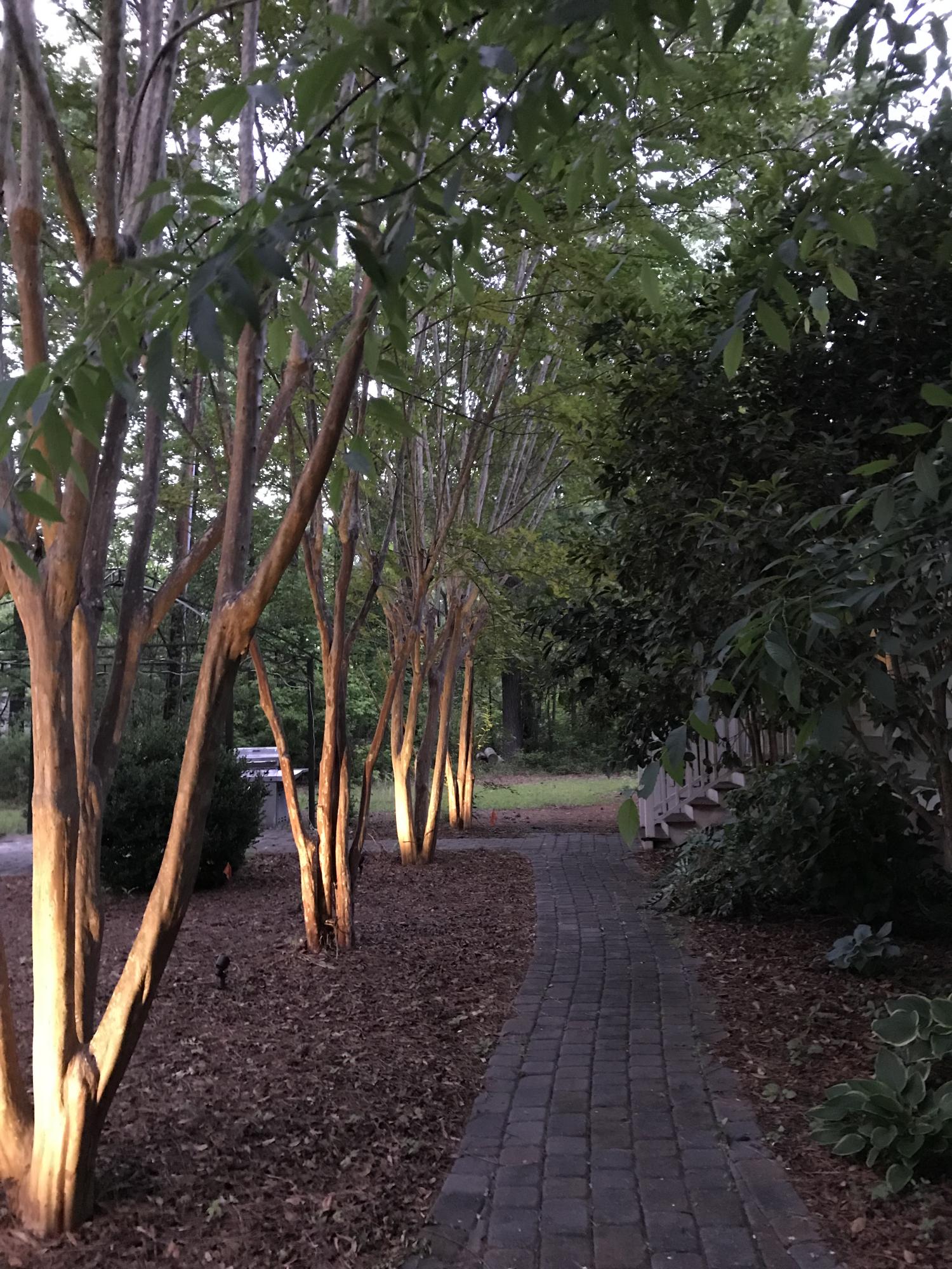 5546 Salters Hill Road Ravenel, SC 29470 - Photo 2 of 18 evening picture