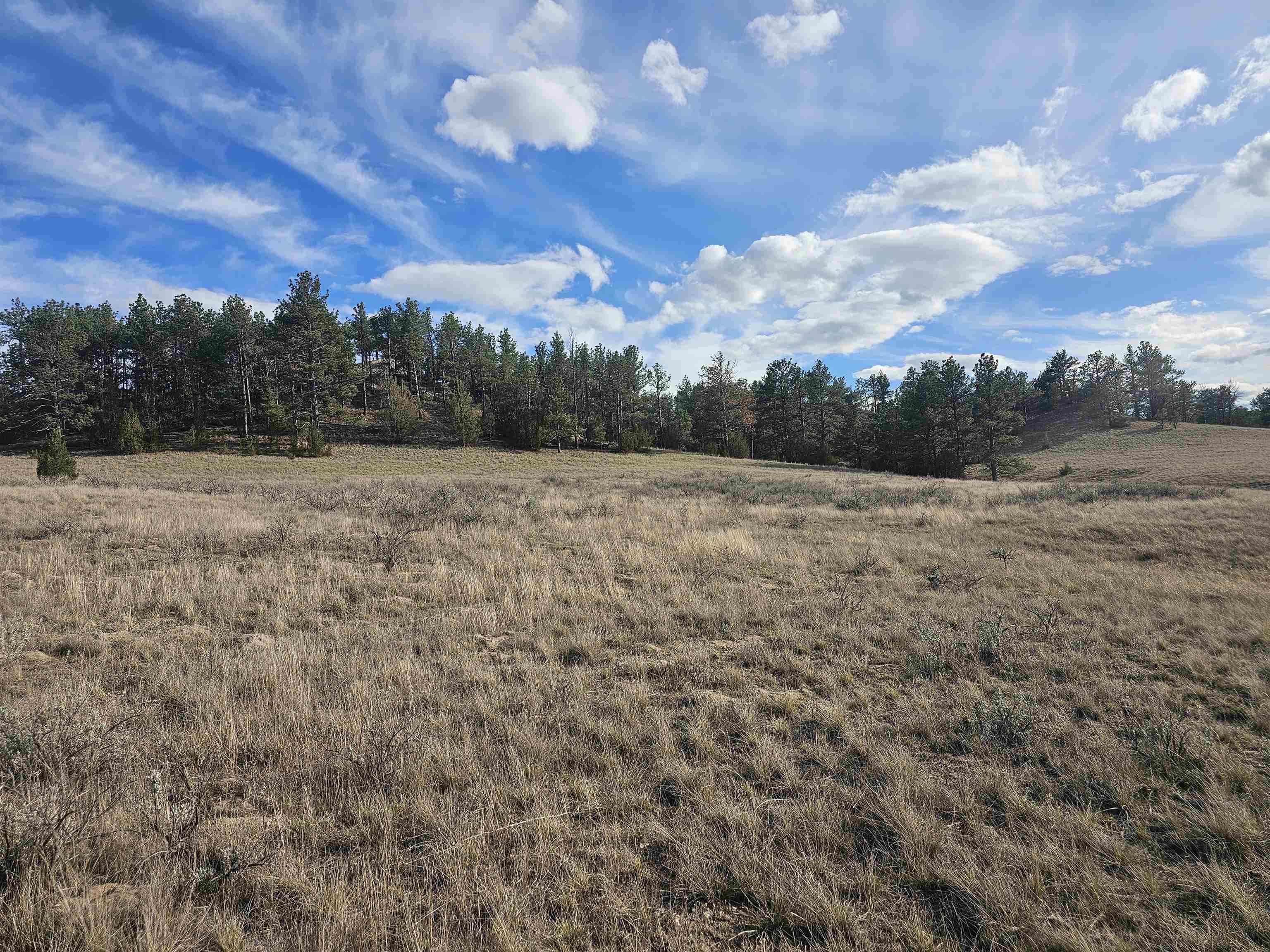52 Wendover Road Guernsey, WY 82214 - Photo 17 of 42