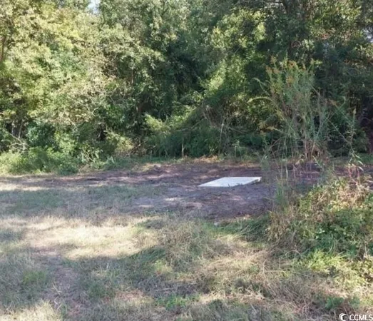 $45,000 | Lot 1 Davis Lane, Mullins, SC 29574