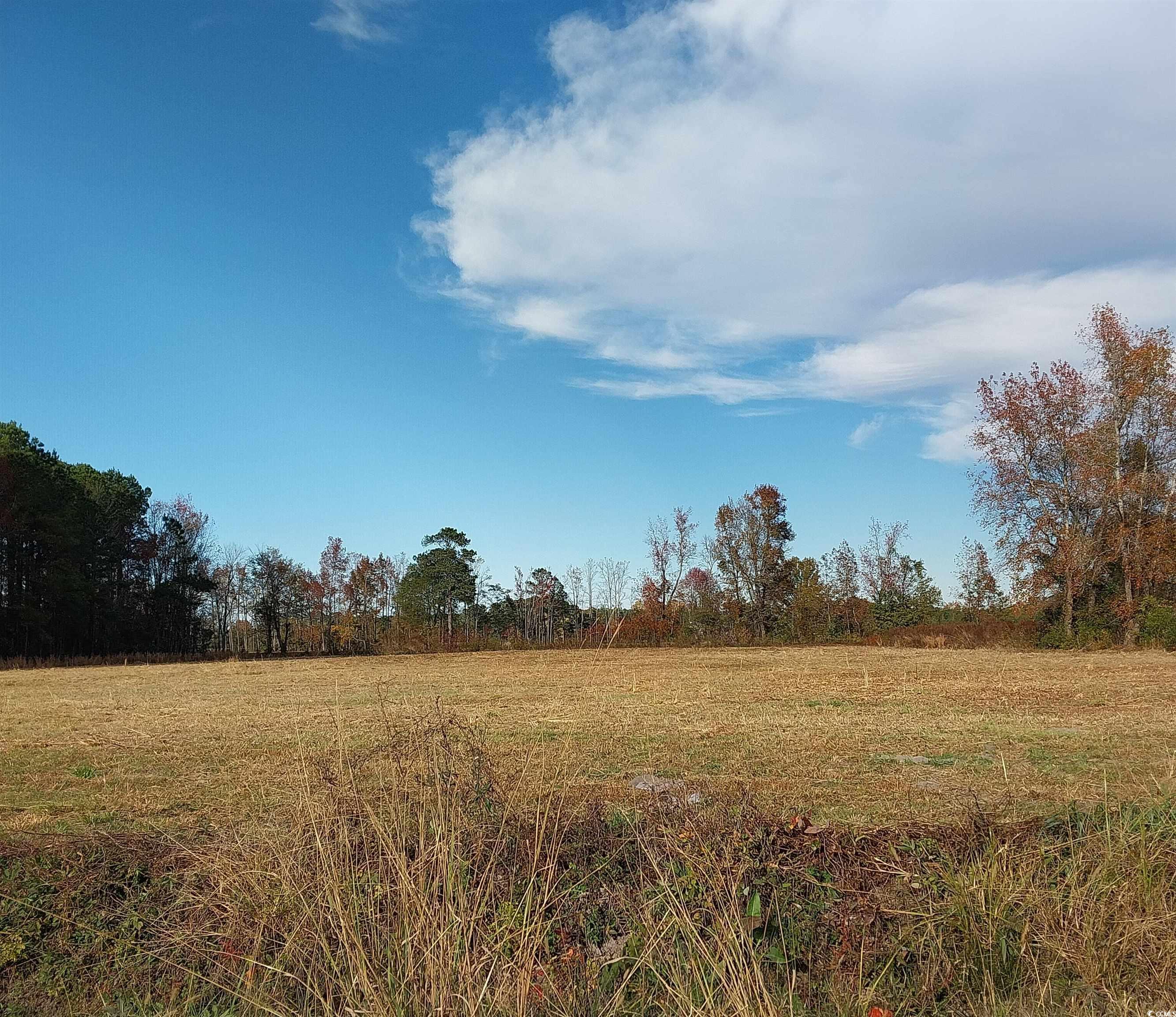 Lot 1 Davis Lane Mullins, SC 29574 - Photo 2 of 8