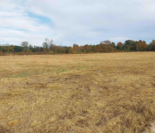 $45,000 | Lot 1 Davis Lane, Mullins, SC 29574