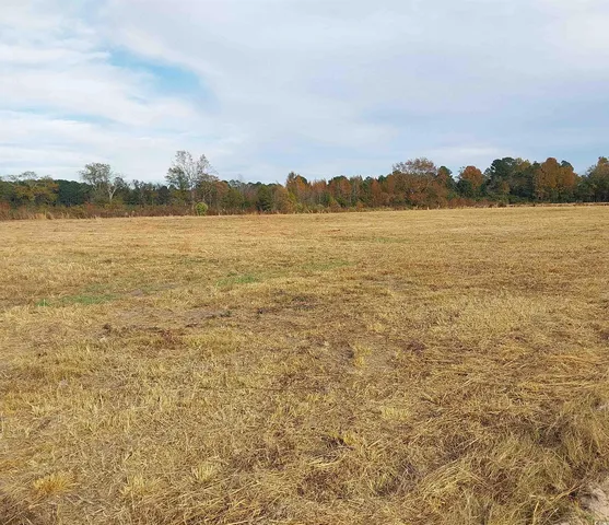 $45,000 | Lot 1 Davis Lane, Mullins, SC 29574