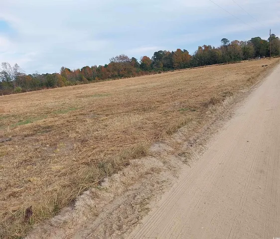 $45,000 | Lot 1 Davis Lane, Mullins, SC 29574