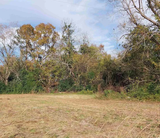 $45,000 | Lot 1 Davis Lane, Mullins, SC 29574