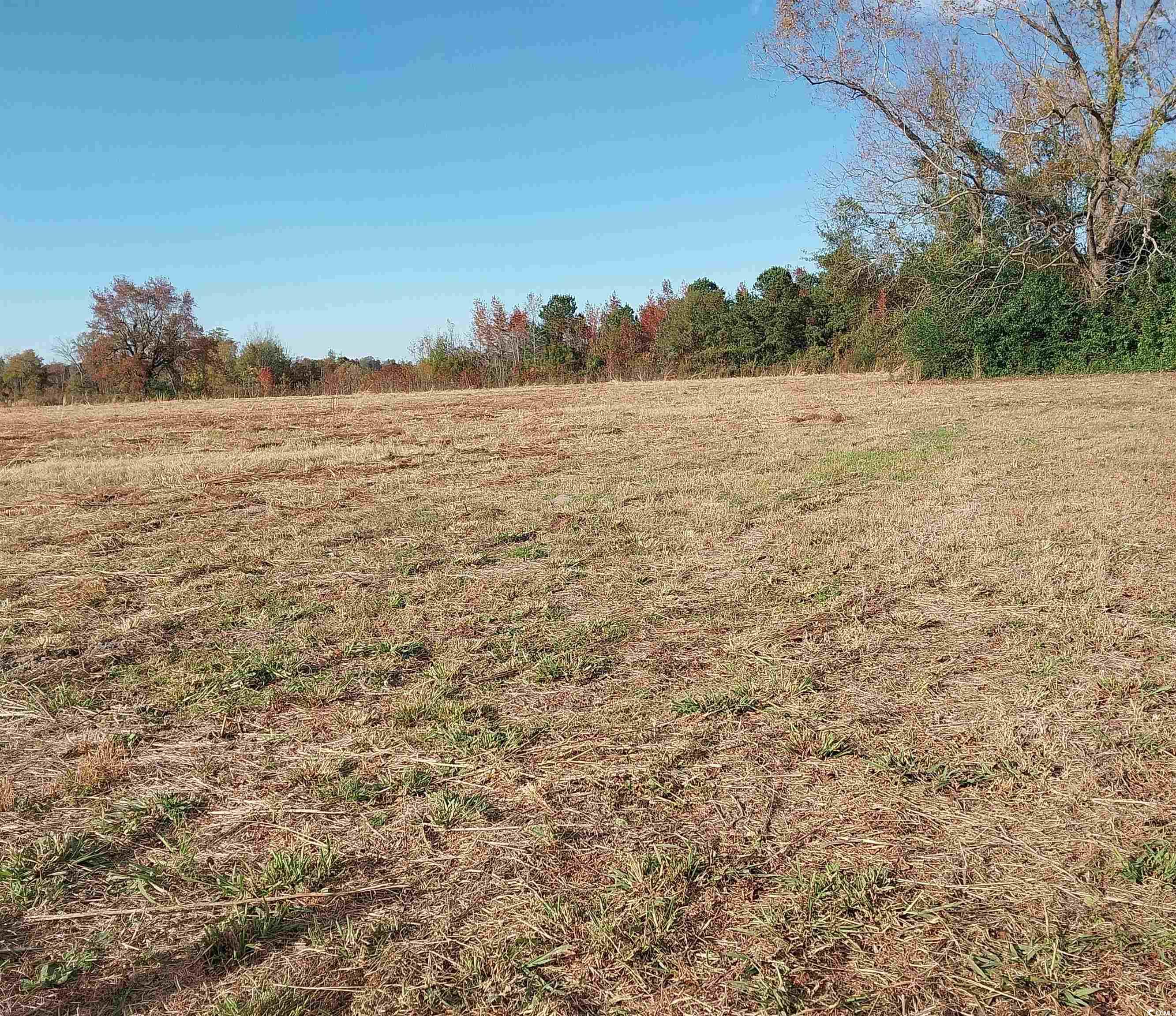 Lot 1 Davis Lane Mullins, SC 29574 - Photo 7 of 8