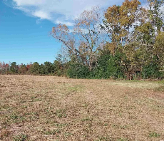 $45,000 | Lot 1 Davis Lane, Mullins, SC 29574