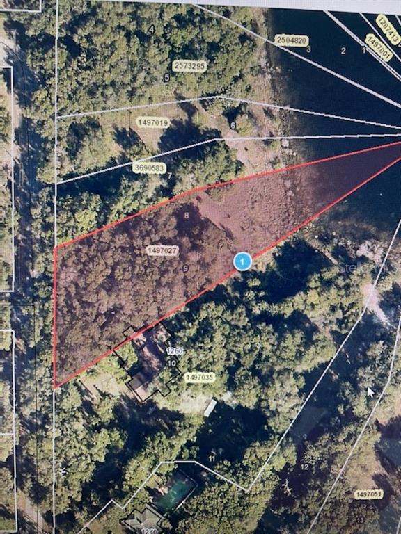 8 Spring Lake Road Fruitland Park, FL 34731 - Photo 1 of 1 Gallery Image 1