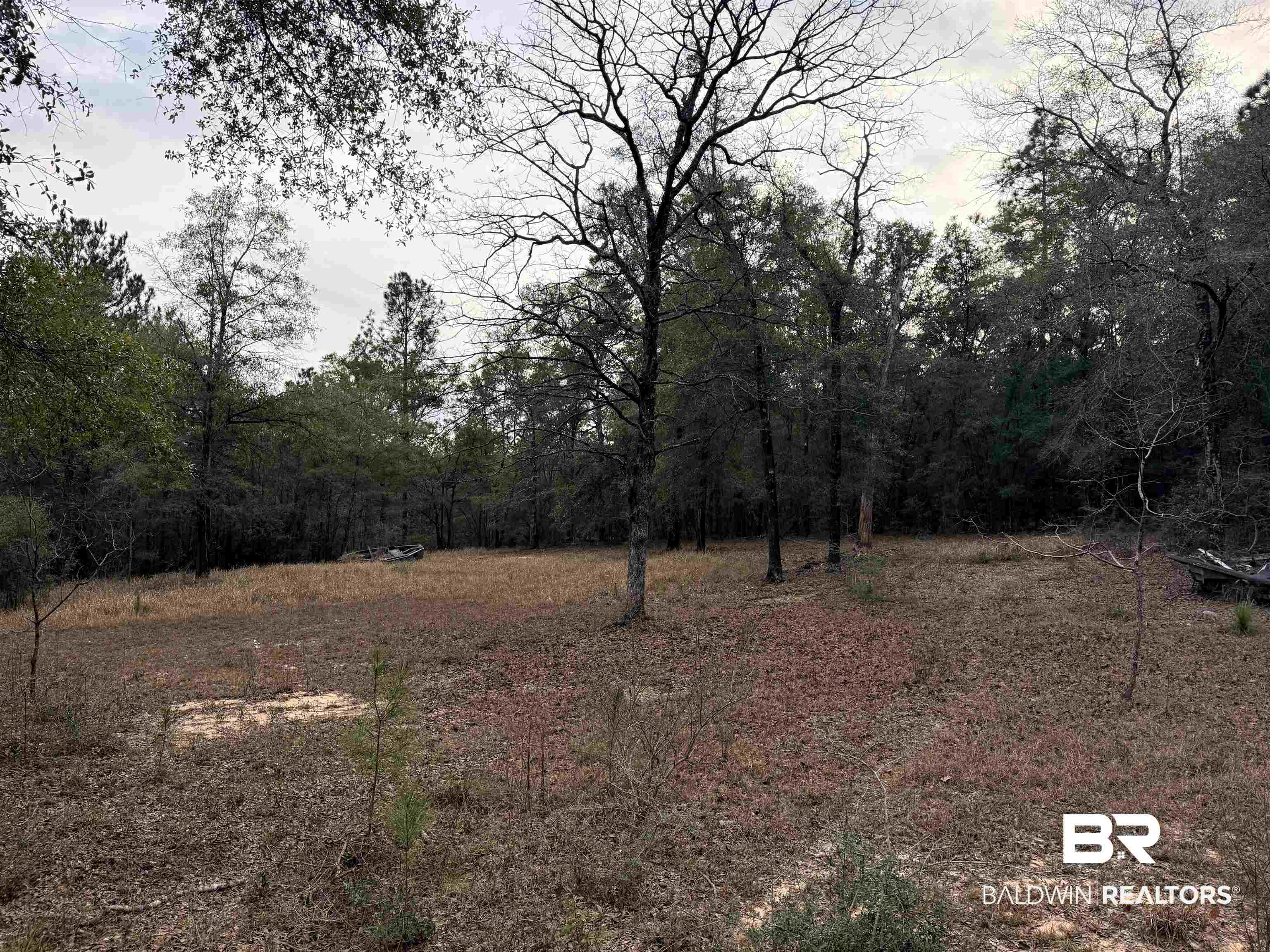 9325 Georgetown Hills Road West Wilmer, AL 36587 - Photo 4 of 11