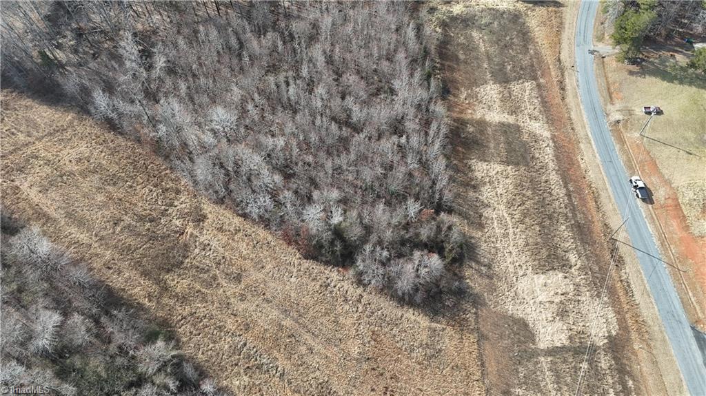 0 Pearson Farm Road Summerfield, NC 27358 - Photo 4 of 10