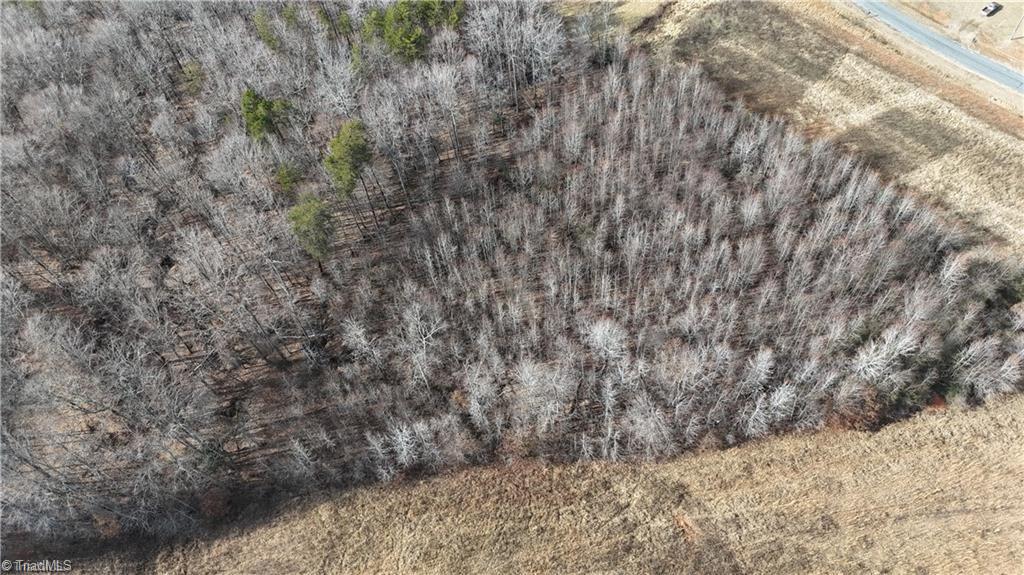 0 Pearson Farm Road Summerfield, NC 27358 - Photo 8 of 10