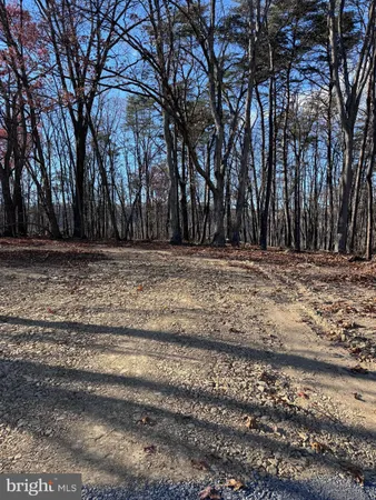 a view of a yard with a trees