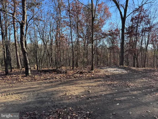 a view of a yard with trees